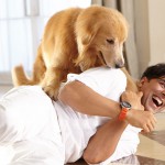 akshay_kumar_with_dog_in_entertainment