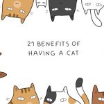 21-Advantages-Of-Having-A-Cat