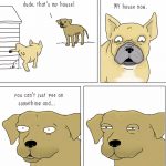 Ever-Wondered-What-Animals-Talk-About-These-Hilarious-Comics-Might-Have-The-Answer.