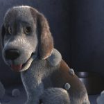 This Short Film Take Me Home Will Make You Need To Get A Dog At this moment