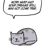 hard-truths-from-soft-cats-illustrations-4-59141d892fff5__605