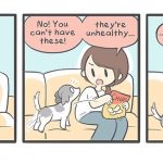 #12Day To Day Life Of Girlfriend, Boyfriend And A Dogo Is Shown In These Comics