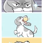 #21Day To Day Life Of Girlfriend, Boyfriend And A Dogo Is Shown In These Comics