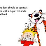 12. 10 Times Calvin Along With Hobbes gave us Life Goals To Lokk Upon