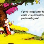 13. 10 Times Calvin Along With Hobbes gave us Life Goals To Lokk Upon