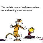 14. 10 Times Calvin Along With Hobbes gave us Life Goals To Lokk Upon