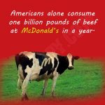 17. 24 Unknown Facts About Everyone’s Fav McDonald’s That Are More Interesting Than Their Burgers