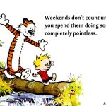3. 10 Times Calvin Along With Hobbes gave us Life Goals To Lokk Upon