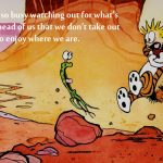 6. 10 Times Calvin Along With Hobbes gave us Life Goals To Lokk Upon