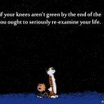 8. 10 Times Calvin Along With Hobbes gave us Life Goals To Lokk Upon