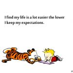 9. 10 Times Calvin Along With Hobbes gave us Life Goals To Lokk Upon