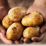 do not Store-potato in fridge