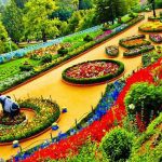 World top beautiful garden