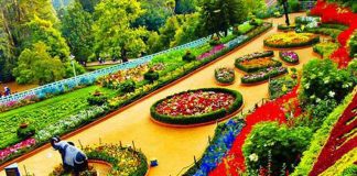 World top beautiful garden