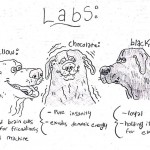 dog-breeds-traits-guide-cartoons-grace-gogarty-11-5a8a7c82482a3__700