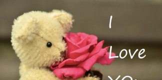 teddy day love images