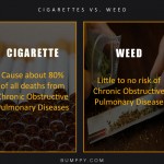 1. 7 Logical Reasons That Bring up Why Weed May Be More Healthier & Heartier Than Cigarettes