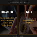 2. 7 Logical Reasons That Bring up Why Weed May Be More Healthier & Heartier Than Cigarettes