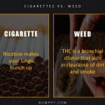 3. 7 Logical Reasons That Bring up Why Weed May Be More Healthier & Heartier Than Cigarettes