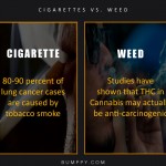 5. 7 Logical Reasons That Bring up Why Weed May Be More Healthier & Heartier Than Cigarettes
