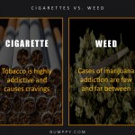 6. 7 Logical Reasons That Bring up Why Weed May Be More Healthier & Heartier Than Cigarettes