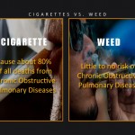 7 Logical Reasons That Bring up Why Weed May Be More Healthier & Heartier Than Cigarettes