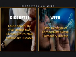 weed, cigarettes, health, smoke, cigarette smoke, weed smoke