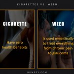 7. 7 Logical Reasons That Bring up Why Weed May Be More Healthier & Heartier Than Cigarettes