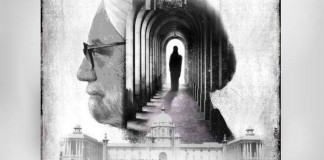 the accidental prime minister