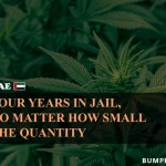 1. 9 Most weird Marijuana Law All Around the world