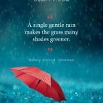13. 15 romantic Quotes about Monsoon that perfectly define our love for Rain