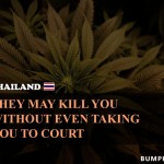 6. 9 Most weird Marijuana Law All Around the world
