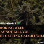 8. 9 Most weird Marijuana Law All Around the world