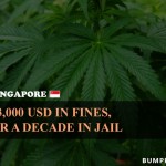 9. 9 Most weird Marijuana Law All Around the world