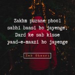 8. 15 Shayaris On Zakhm That Will Relate To A Broken Heart
