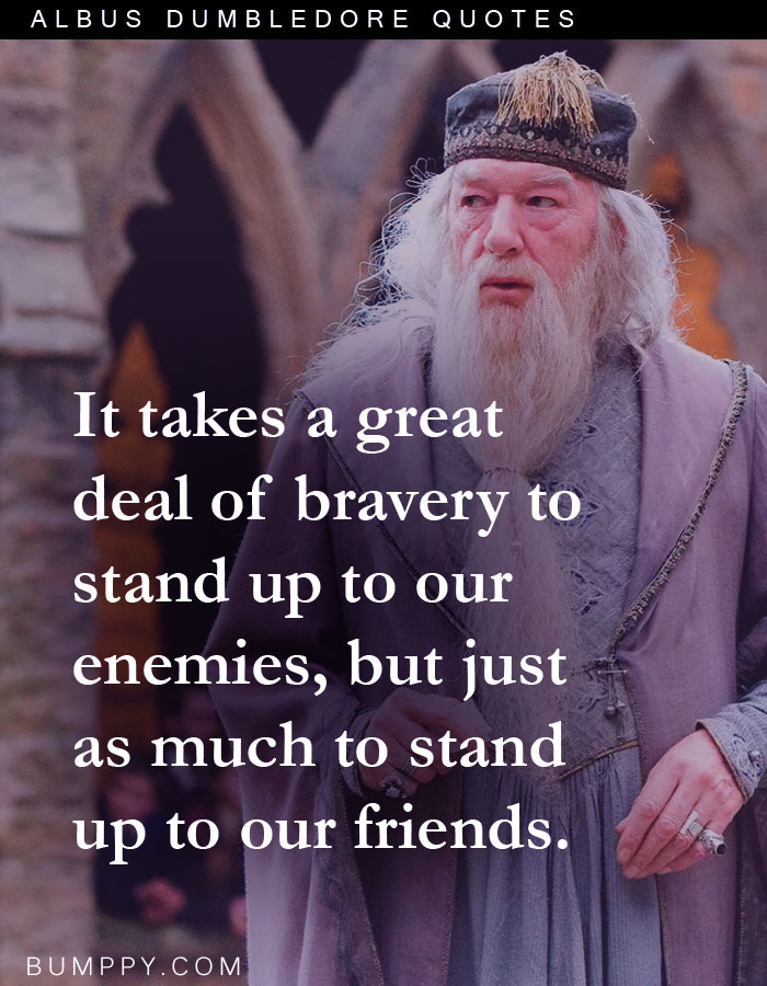 It takes a great deal of bravery to  stand up to our enemies, but just as much to stand up to our friends.