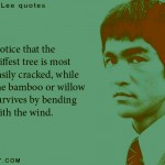 15. 17 Strong Quotes By The Martial Arts King Bruce Lee