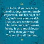 3. 15 Quotes By Kiran Desai For Your ‘Self – Reflection’ Time
