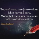 11. 28 Shayaris By Firaq Gorakhpuri That’ll Remind You Of Your Deepest Emotions