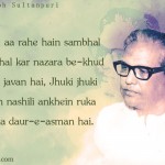 19. 25 Powerful Quotes By Majrooh Sultanpuri About Love And Life