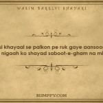 2. 15 Shayaris By Wasim Barelvi That Express The Pain Of Loving Someone Truly