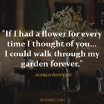 3. 15 Beautiful Quotes On Love That’ll Touch Your Heart