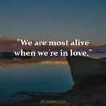 9. 15 Beautiful Quotes On Love That’ll Touch Your Heart