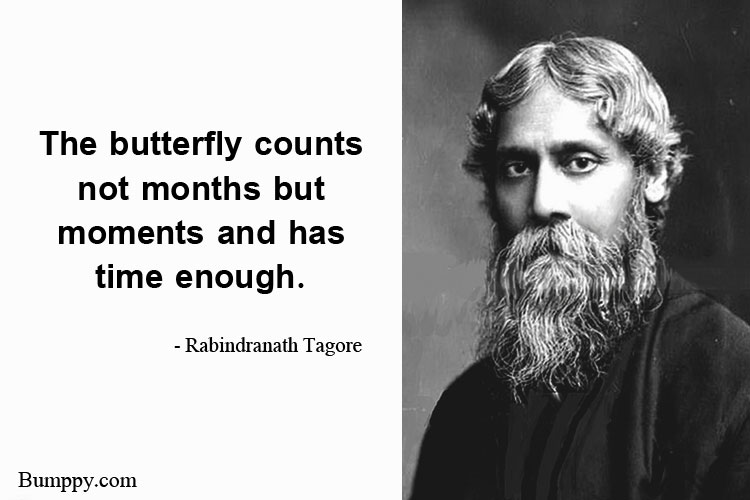 The butterfly counts  not months but  moments and has  time enough.