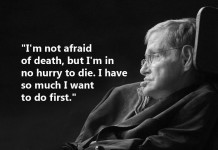 stephen hawking, stephen hawking quotes, author, inspiration, motivation, quotes, hawking, A Brief History of Time