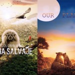 6 Best Wildlife Documentaries on Netflix Right Now