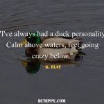 1. 12 Quotes That Show That All Of Are A Little Cuckoo!