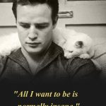 2. 10 Best Quotes By Marlon Brando That Prove Why He Will Always Be a Legend